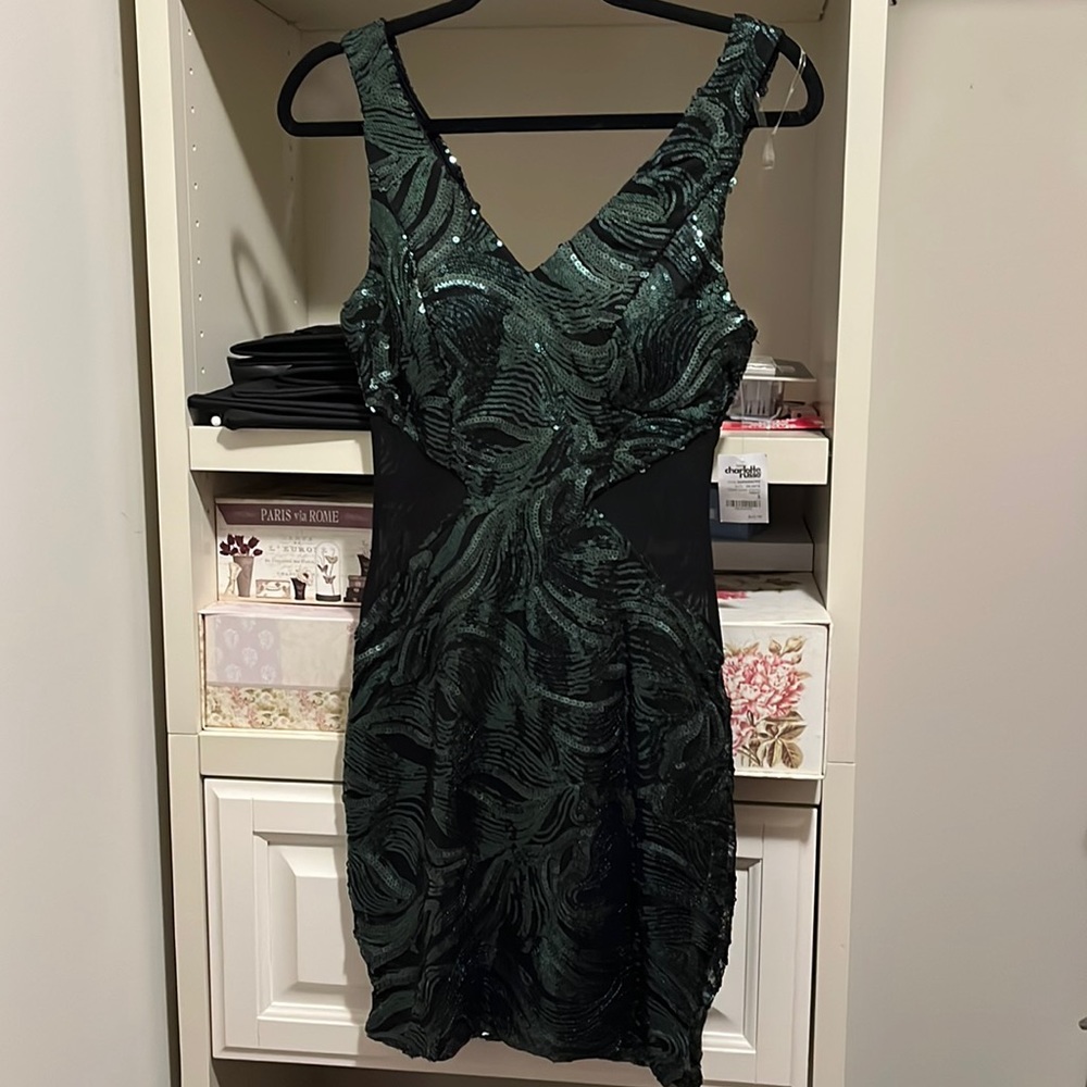 Beautiful hunter green sequin dress